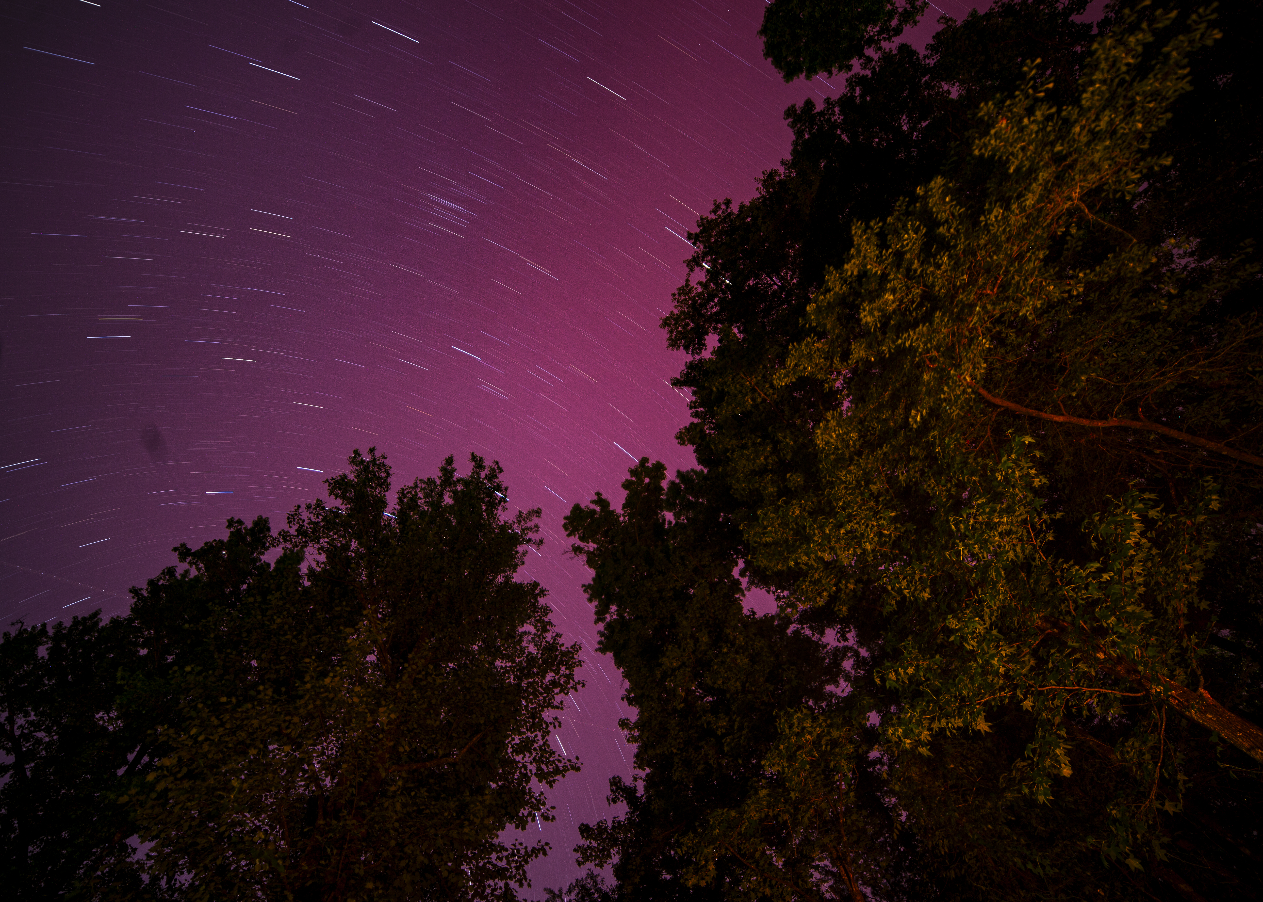 Night Skies Cover